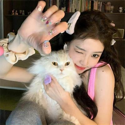 枭爷，叶小姐又来求婚了