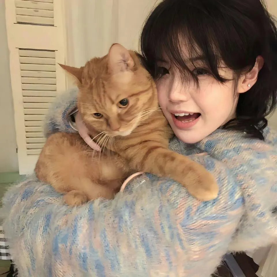 紧急呼救第九季